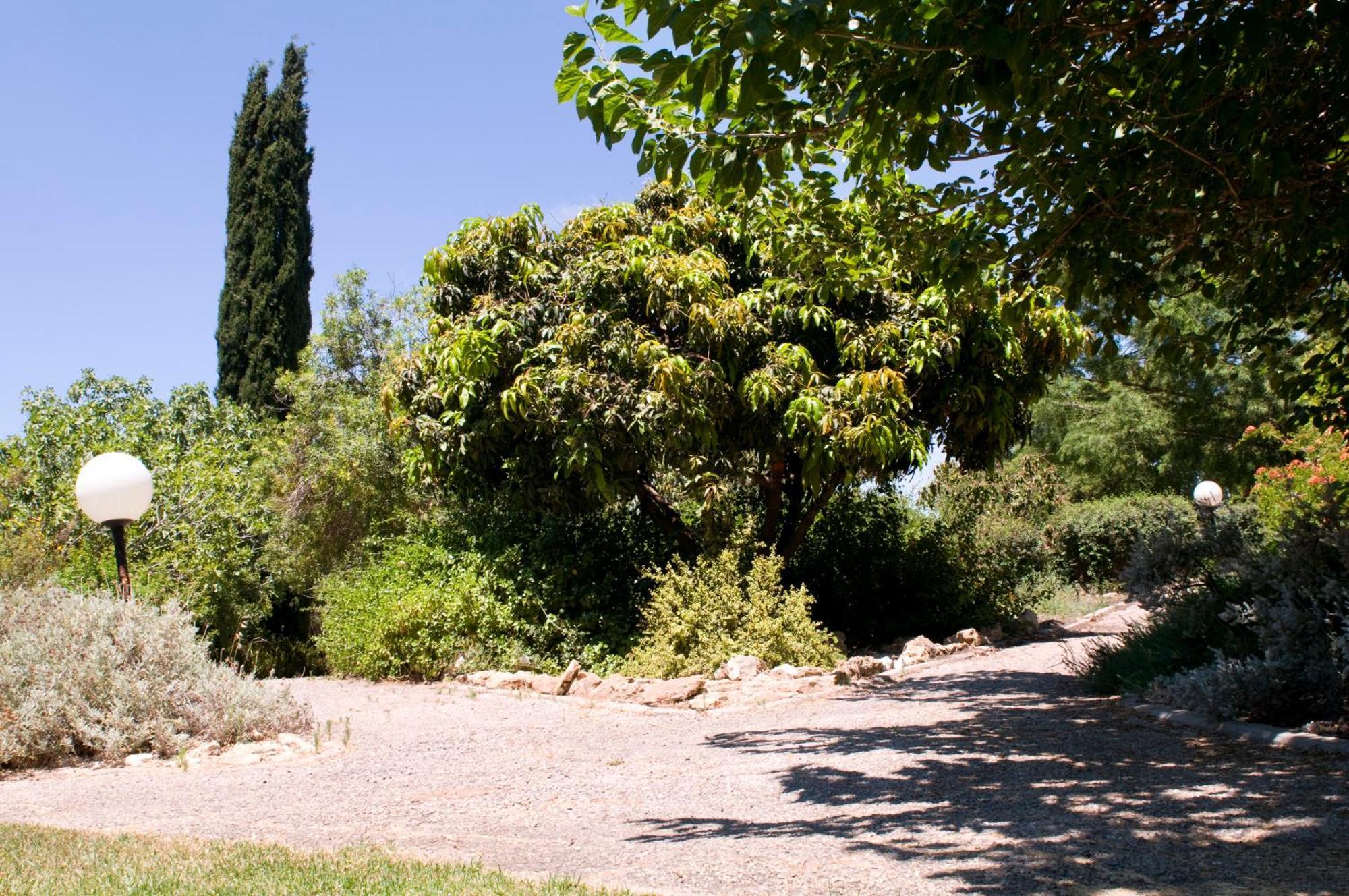 Nes Ammim Hotel Extérieur photo